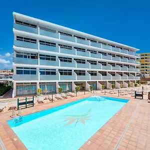 Strelitzias , Playa del Inglés España